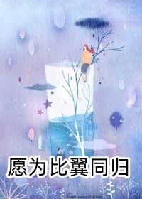 九星神龙诀